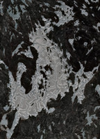 Jan Lake - May 06, 2026
