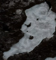 Flatland Lake - May 09, 2026