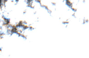 Pipestone Lake - May 20, 2026