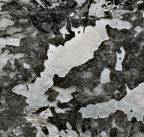 Limestone Lake - May 01, 2026