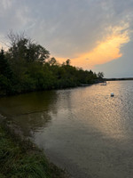 View of the shoreline from the beach.