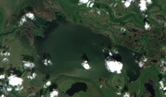 Cut Beaver Lake - Jul 24, 2026