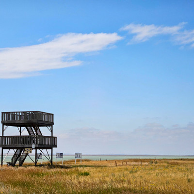 Reed Lake Lookout Tower