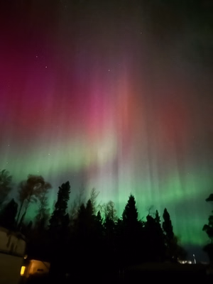 Northern lights 
