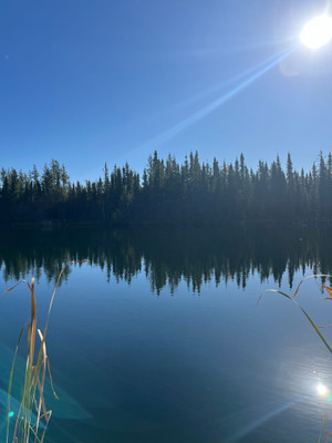 View of the pond.
