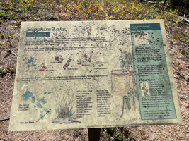 Interpretive sign at the lake.