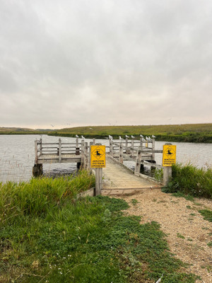 Wooden fishing dock.