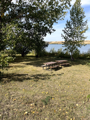 Day use area by the dog park.