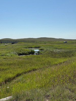 View of the trail and the parking lot from the pond.