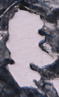 Ispuchaw Lake - Dec 12, 2025