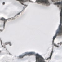 Kinloch Lake - Feb 12, 2026