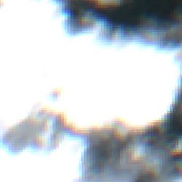 Dog Lake - Jul 24, 2026