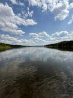 Sealey Lake