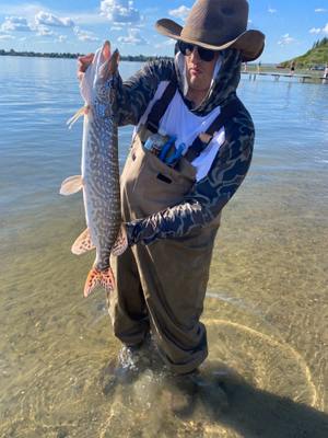 Northern Pike