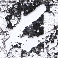 Memorial Lake - Feb 20, 2026