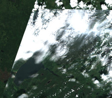 Primrose Lake - Jul 24, 2026