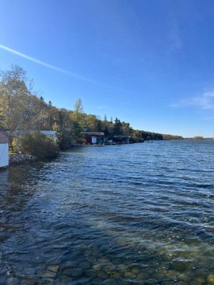 View of the shoreline from the launch.