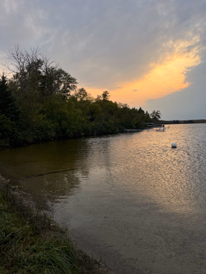 View of the shoreline from the beach.