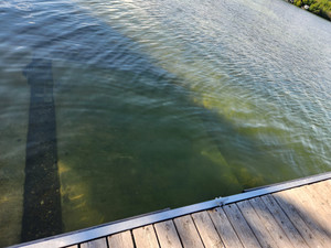 Boat Launch