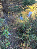 Trail down from the parking area.