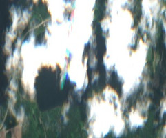 Fowler Lake - Jul 24, 2026