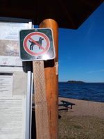 No dogs sign