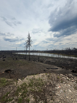 Area surrounding the lake burnt again in the SHOE fire.