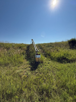 Stairs leading down to the pond.