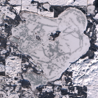 Iroquois Lake - Jan 16, 2026