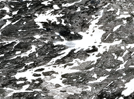 Campbell Lake - Apr 29, 2026