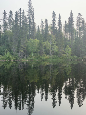 Mosher Lake in 2023