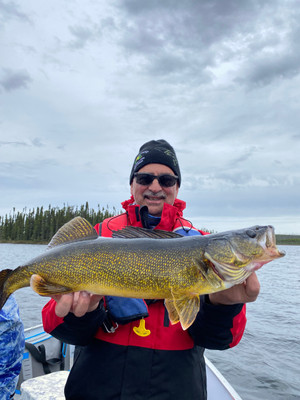 Walleye large and in numbers