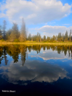 Mirror image