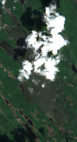 Amyot Lake - Jul 24, 2026
