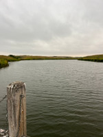 View from the dock.