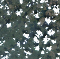 Carswell Lake