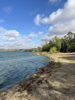 Lake shoreline