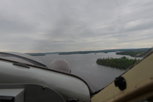 Otter from the Air