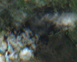 Dog Lake - Jul 24, 2026