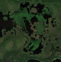 Meadow Lake