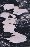 Whiteswan Lakes - Dec 12, 2025