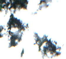 de Balinhard Lake - Jul 24, 2026