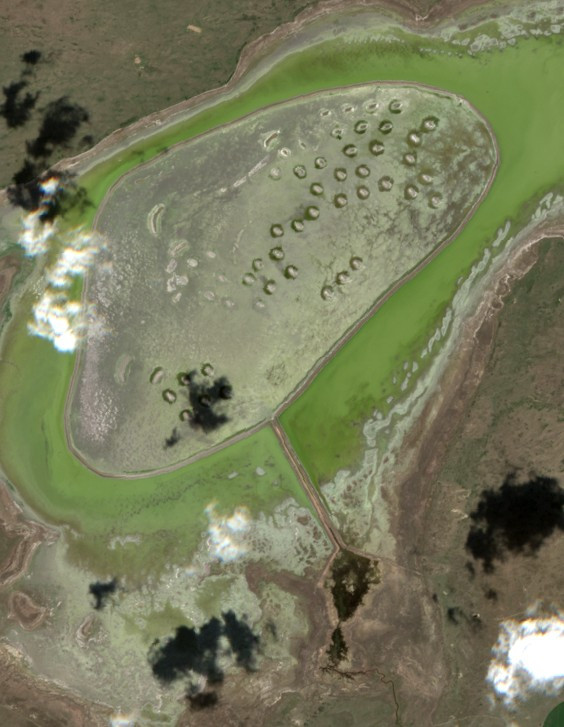 Crane Lake - May 22 - May 29