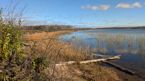 West shoreline of Hall Lake. Hall Lake community is part of Morin Lake Reserve #217 of LLRIB. 